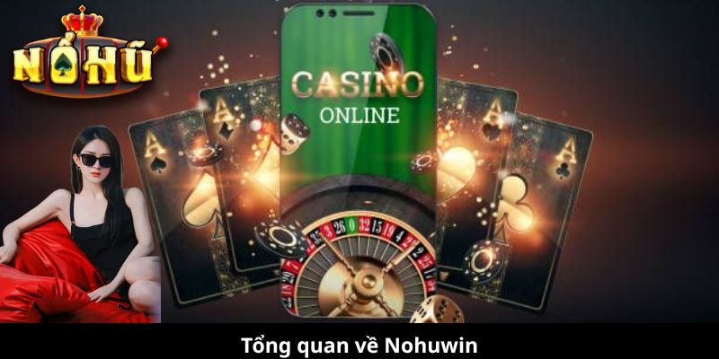 Tổng quan về Nohuwin